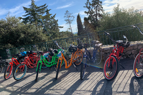 Niza: Tour panorámico de la Riviera francesa en bicicleta