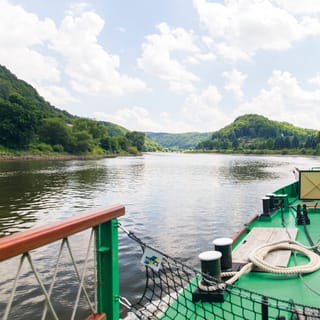 Bad Schandau: 1,5-godzinna wycieczka parowcem w Saskiej Szwajcarii