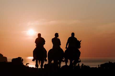 Megalochori: Horseback Riding Tour for Experienced Riders