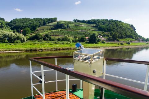 From Dresden: Saxon Wine Route Paddle Steamer Day Cruise