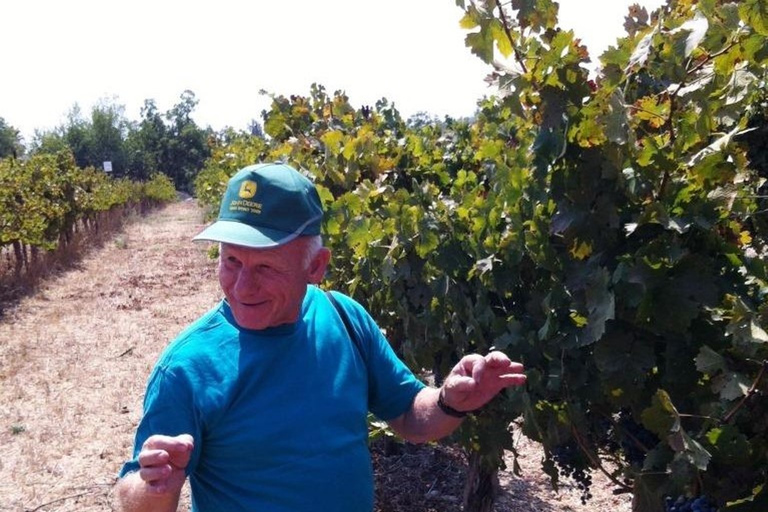 Weintour nördlich von Israel ab Tel Aviv