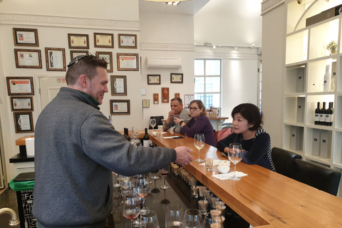 Visite des vins au nord d'Israël au départ de Tel Aviv