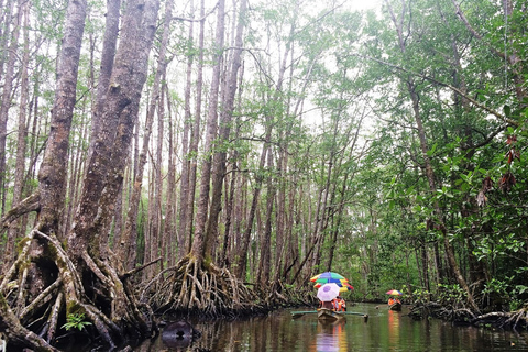 Puerto Princesa: recorrido por el río subterráneo, tirolesa y bote a pedales