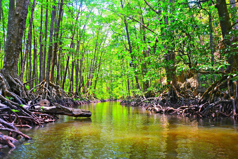 Puerto Princesa: recorrido por el río subterráneo, tirolesa y bote a pedales