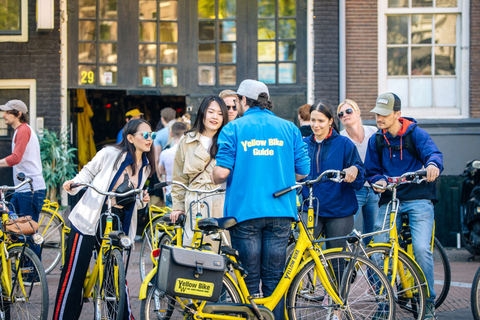 Amsterdam: 2-Hour City Highlights Guided Bike TourShared Tour