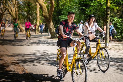 Amsterdam: begeleide fietstocht van 2 uurNederlands- of Engelstalige tocht