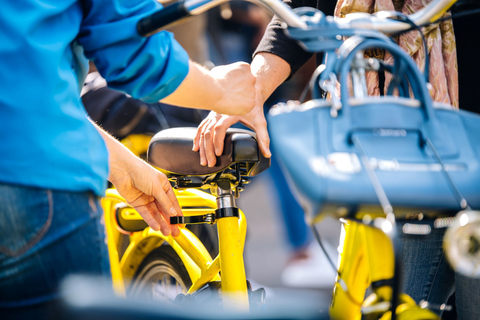 Amsterdam: fietstochten met hoogtepunten en verborgen juweeltjes van 3 uurEngelse of Nederlandse Tour: individuele en kleine groepen