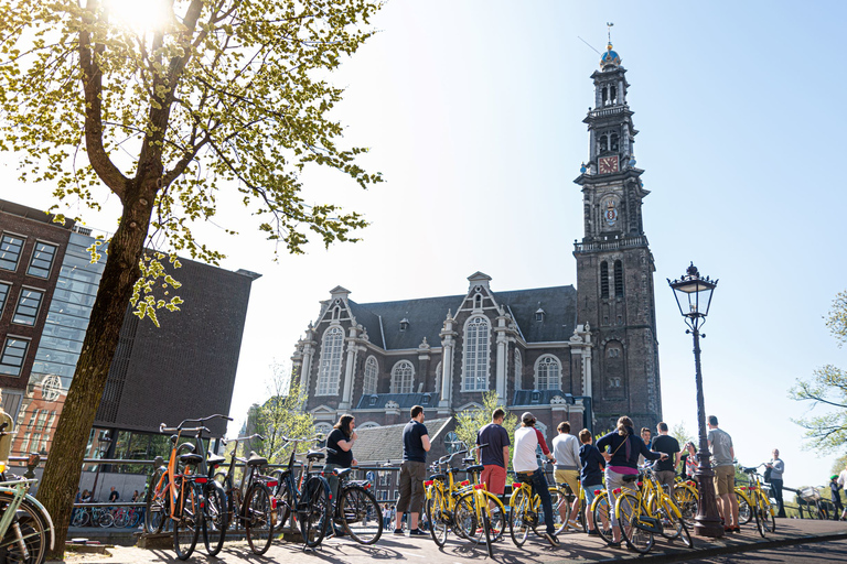 Amsterdam: Höjdpunkter och dolda pärlor cykelturPrivat grupp