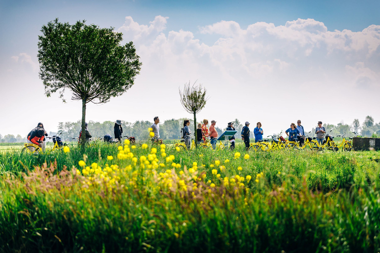 Amsterdam: Guided Countryside 4-Hour Bike Tour