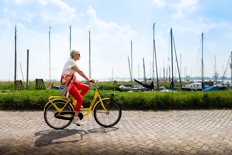 Ámsterdam: tour guiado en bicicleta de 4 horas por el campo