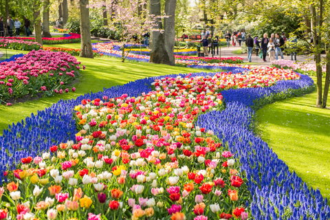 Keukenhof: Kleingruppentour zu den Blumenfeldern per Fahrrad