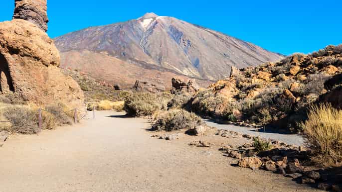 teneriffa teide und puerto de la cruz tagestour