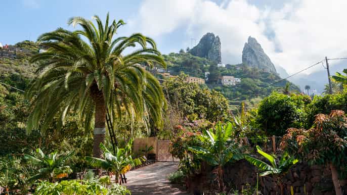 from south tenerife la gomera island tour