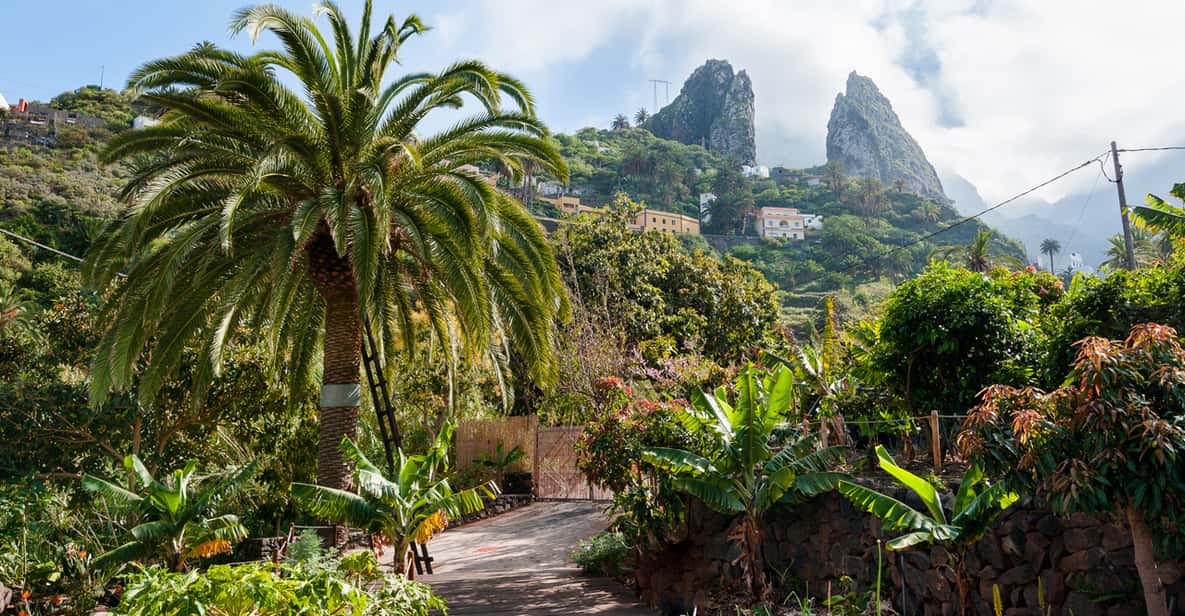 From South Tenerife: La Gomera Island Tour