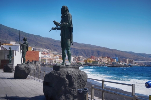 Tenerife: tour guiado de día completo por la isla
