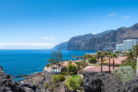 Tenerife: Excursão Guiada de 1 Dia pela Ilha