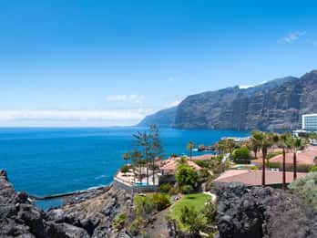 Tenerife: Excursión guiada de día completo por la isla