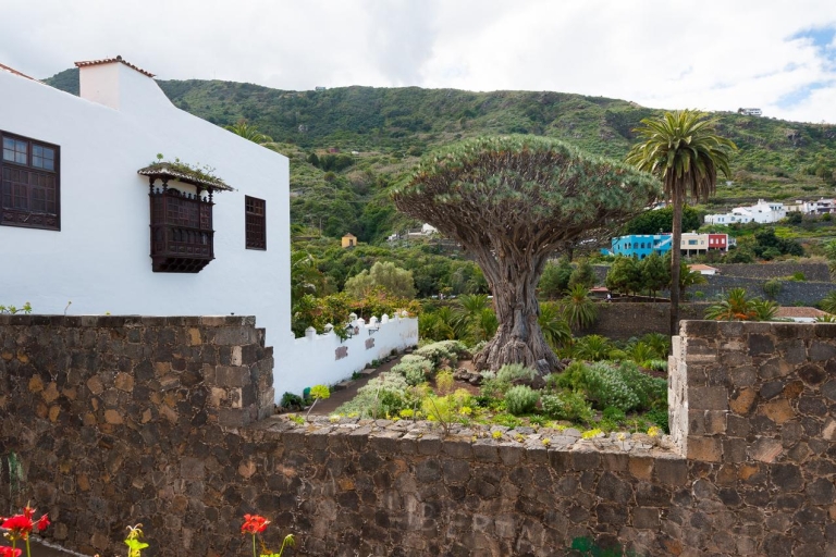 Tenerife: tour guiado de día completo por la isla