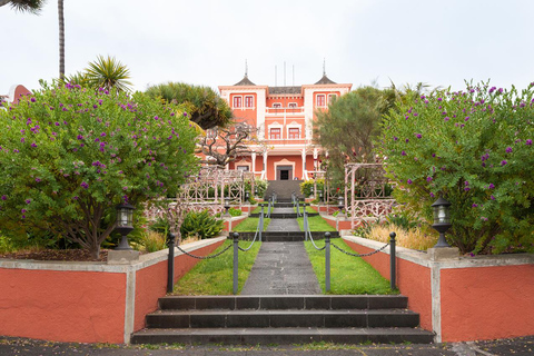 Tenerife: tour guidato di un giorno dell&#039;isola