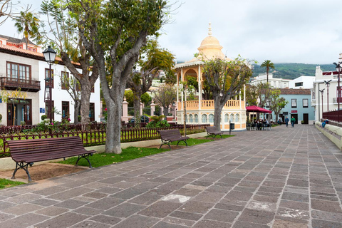 Tenerife: begeleide dagexcursie over het eilandTenerife: begeleide dagexcursie eiland