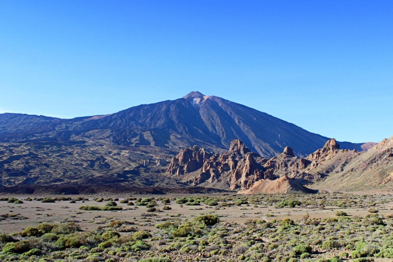 Teneryfa: Półdniowa wycieczka na Teide i do Las Cañadas