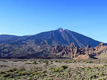 Tenerife: Teide y Las Cañadas Tour de medio día