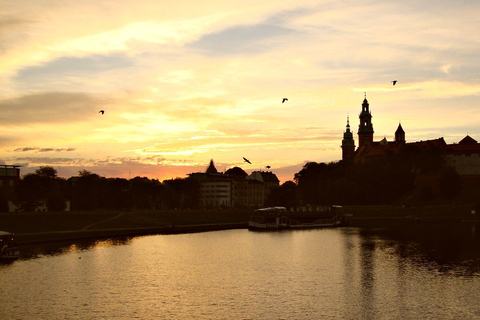 Cracovie: visite guidée coupe-file du château de Wawel et de la colline