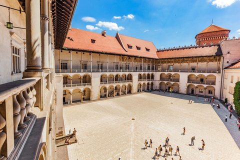 Cracovia: visita guiada sin colas al castillo de Wawel y a la colina