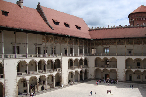 Cracovie: visite guidée coupe-file du château de Wawel et de la colline