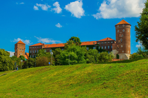 Krakau: Wawelschloss ohne Anstehen und Bergführung