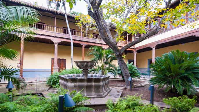 tenerife fullday gastronomy and grape experience