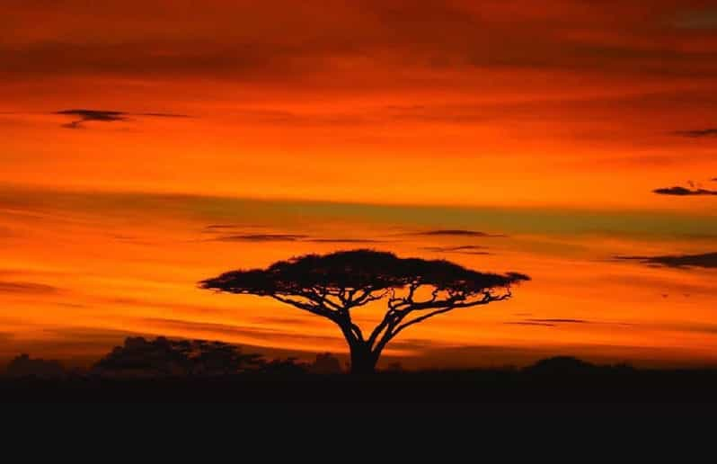 Serengeti And Ngorongoro: 2-Night 3-Day Camping Safari | GetYourGuide