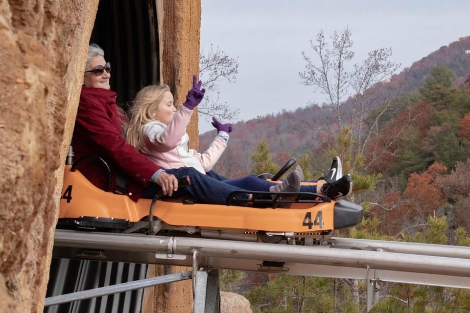 Pigeon Rocky Top Mountain Coaster Ride GetYourGuide