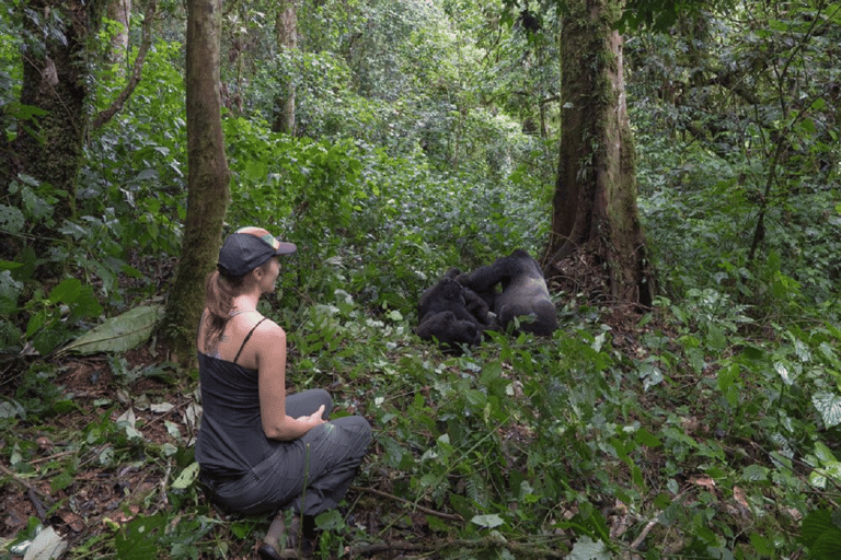 Uganda: 10-tägiges umfassendes Safari-Erlebnis