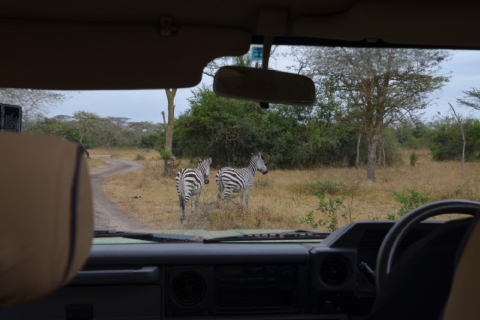 Uganda: experiencia de safari integral de 10 días
