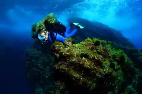 Lisbon: Become a Scuba Diver in 3-Days