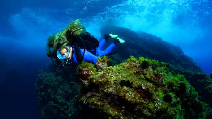 lisbon become a scuba diver in 3days