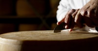 Parma, Parmigiano-Reggiano Käsetour - Hizvo