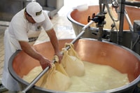 Parma, Parmigiano-Reggiano Käsetour - Hizvo