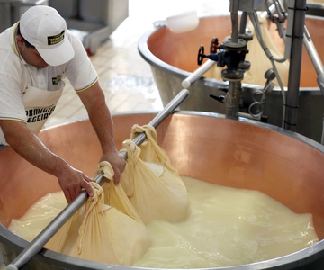 Parma: Parmigiano-Reggiano Cheese Tour