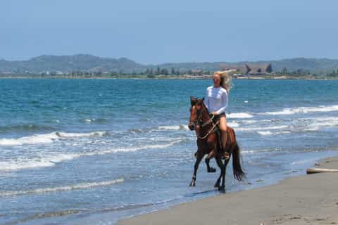 Cartagena: Beach Horse Ride and Colombian Horse Culture