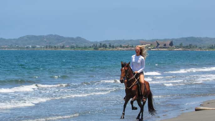 cartagena beach horse ride and colombian horse culture