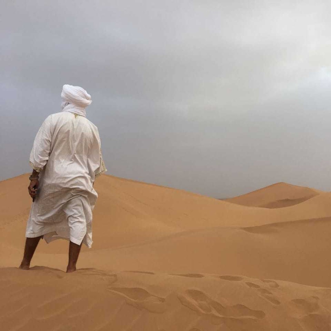 Depuis Agadir ou Taghazout : excursion de 2 jours dans le désert du Sahara à Zagora - dromadaire