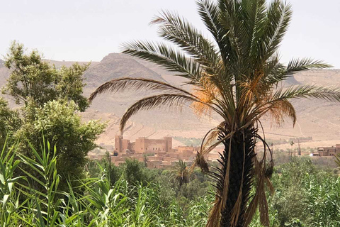 Desde Agadir: tour de 2 días por el desierto del Sahara a Zagora