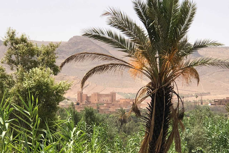 Depuis Agadir : excursion de 2 jours dans le désert du Sahara à Zagora