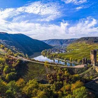 Moselle Valley: Guided Vineyard Tour with Wine Tasting