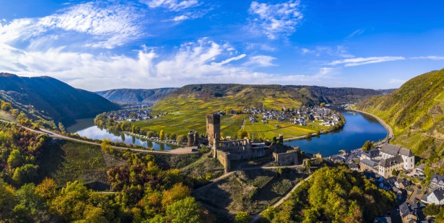 Visit Moselle Valley: Guided Vineyard Tour with Wine Tasting in Moselle Valley