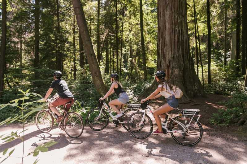 Vancouver: Tour di mezza giornata dei punti salienti della città in E-Bike Età 16+