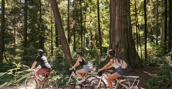 Vancouver: Halbtagestour mit dem E-Bike zu den Highlights der Stadt Alter 16+