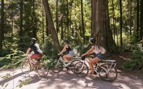 Vancouver: Half-Day City Highlights E-Bike Tour Age 16+